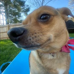 Meet your Posher, Kayley